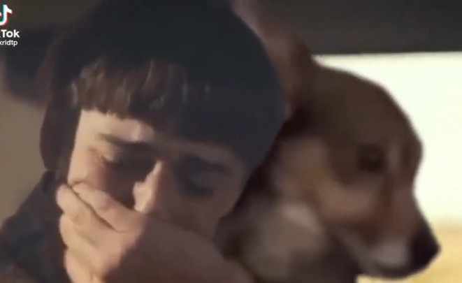 Will Crying and dog looking viral meme video